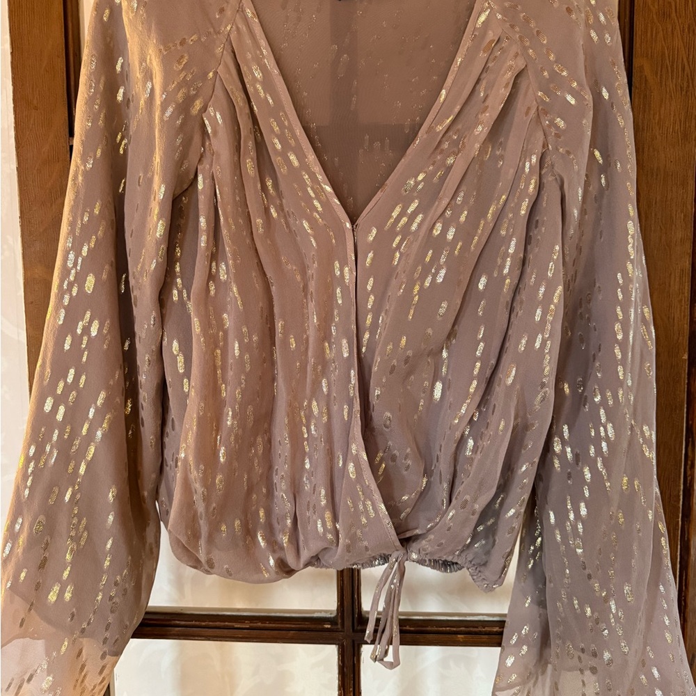 Elegant Sheer Blouse with Gold Accents